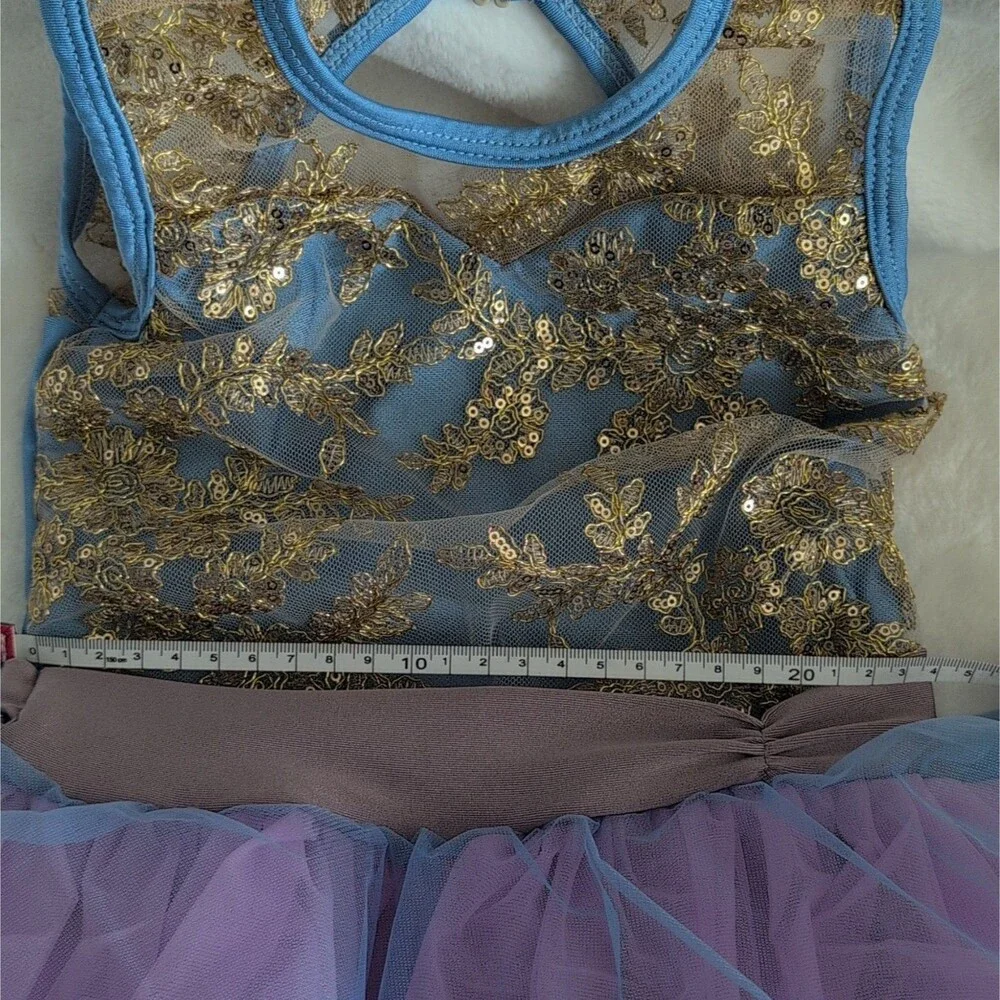 Blue Purple Ombre Tutu Dance Dress - Gold Sequin Lace Royalcore Fairy Costume SC